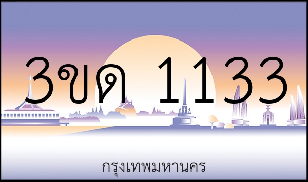 3ขด 1133